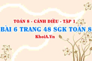 Bài 6 trang 48 SGK Toán 8 tập 1 Cánh Diều